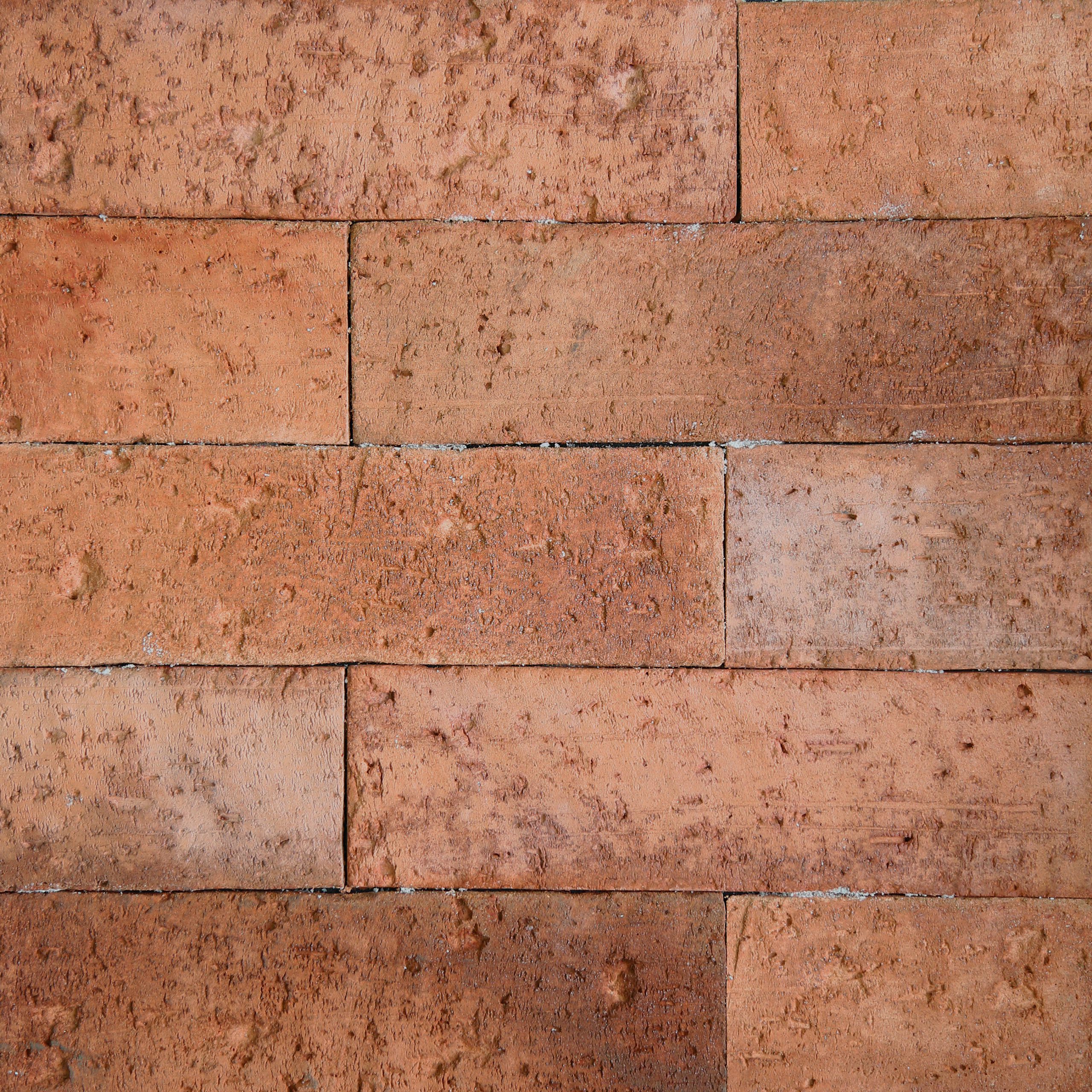 Light Brick - Orange (LB-3001) ทรูเนเจอร์ ไลค์บริค