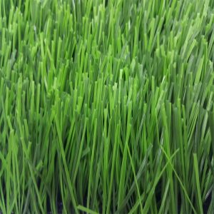 หญ้าเทียม อีซี่กราส รุ่น สปอร์ต เอสซีจี สำหรับสนามฟุตบอล ขนาด 5.00 ซม. สีโอเมก้า เชป