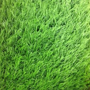 หญ้าเทียม อีซี่กราส เอสซีจี เซฟวิ่งกราส รุ่นสั่งตัด ขนาด 2.5 ซม. สีฟอเรสกรีน