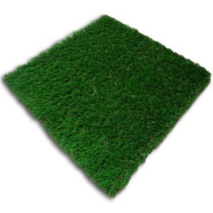 อีซี่กราส เอสซีจี รุ่นกล่อง ขนาด 50x50x4 ซม. (ชนิดกล่อง) สีเฟรชกรีน